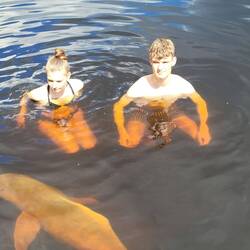 Mit rosa Flussdelfin