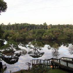 Morgengrauen am Fluss