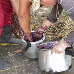 Zermatschen und wässern