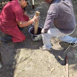 Wellington mit mehr Wums