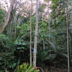 Unser Ausblick in den Wald
