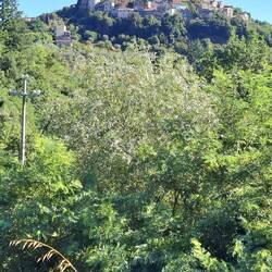 De dorpen zochten bescherming hoog boven aan een fort.