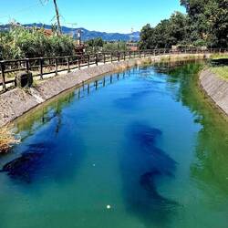 Een kanaal brengt even de geur terug van de rijstvelden.