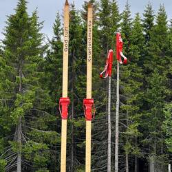 Langlaufen ist im Winter Volkssport