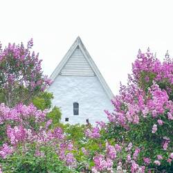 Kirche mit Flieder