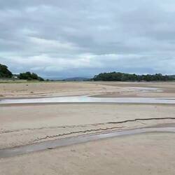 Enjoying messing with the quicksand