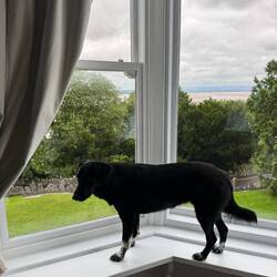 Maya plotting her escape
