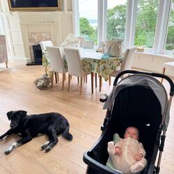 Maya and baby Billie