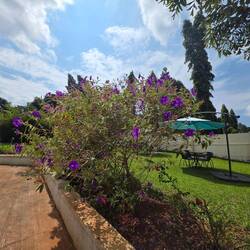 It was so relaxing here and such beautiful flowers