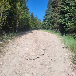 Auch dieser Pfad auf dem Weg zur Brush Mountain Lodge gehört nicht in die Kategorie "gutes Terrain"