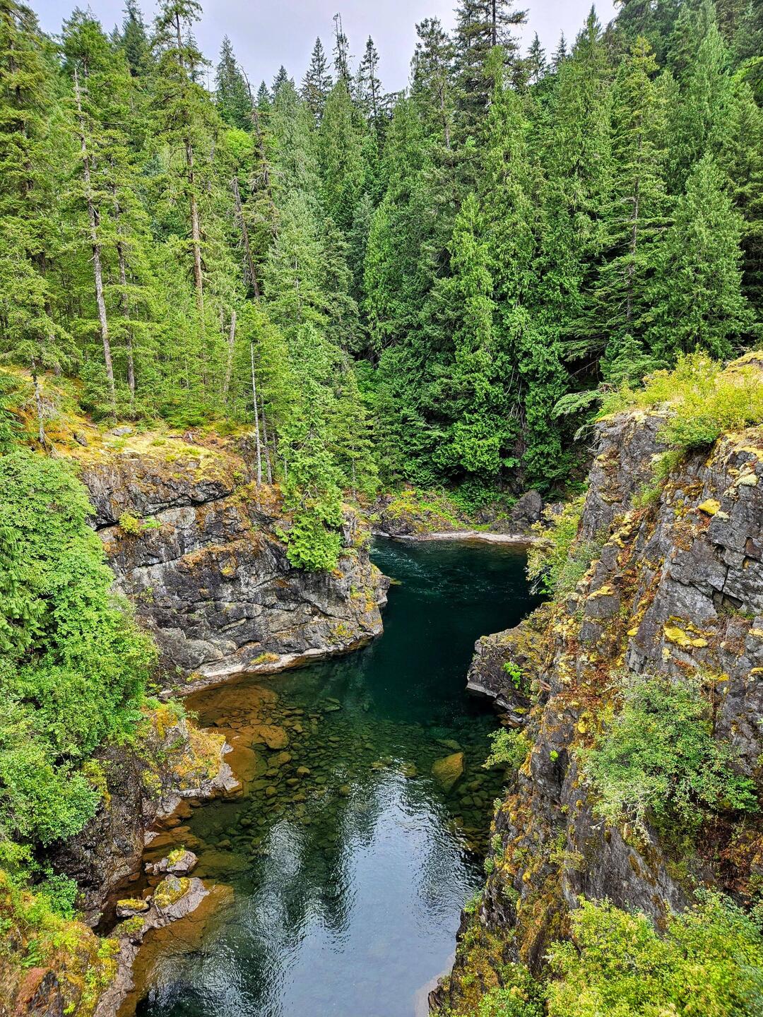 Campbell River Canyon