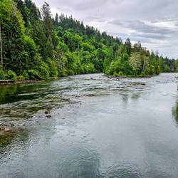 Wider view of river from the bank