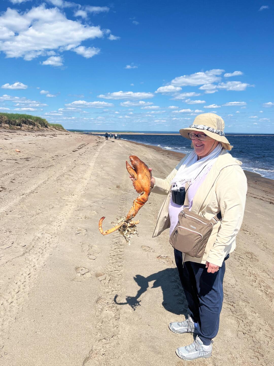 Découverte par Maryse d'une carcasse de homard gigantesque.