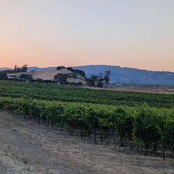 Abschied aus dem Sonoma Valley