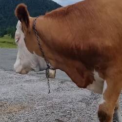 Umringt von flotten Mädels!😂