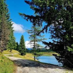 ... vorbei am Egger Alm See ...