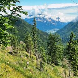 ... Richtung Dellacher Alm rauf, mit toller Aussicht ...