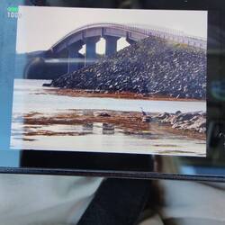 Sogar einen eigenen Reiher habe ich (Kameradisplay)