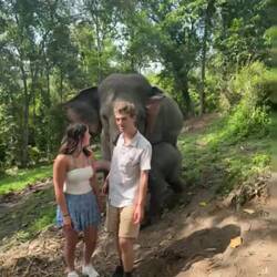 Dzidziuś słoń chyba mnie nie lubi [I don't think the baby likes me]