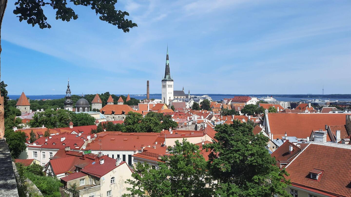 Altstadt von oben