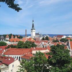 Altstadt von oben