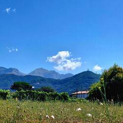 Op de smalle strook tussen bergen en zee.