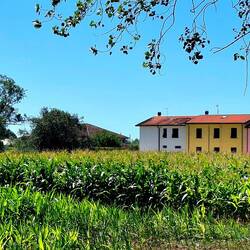 Ode aan de schilder die mijn vader was. Hij had het bedacht kunnen hebben.