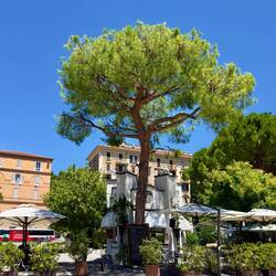 Hier gibt's einen weiteren Snack. Pancakes und einen Smoothie.