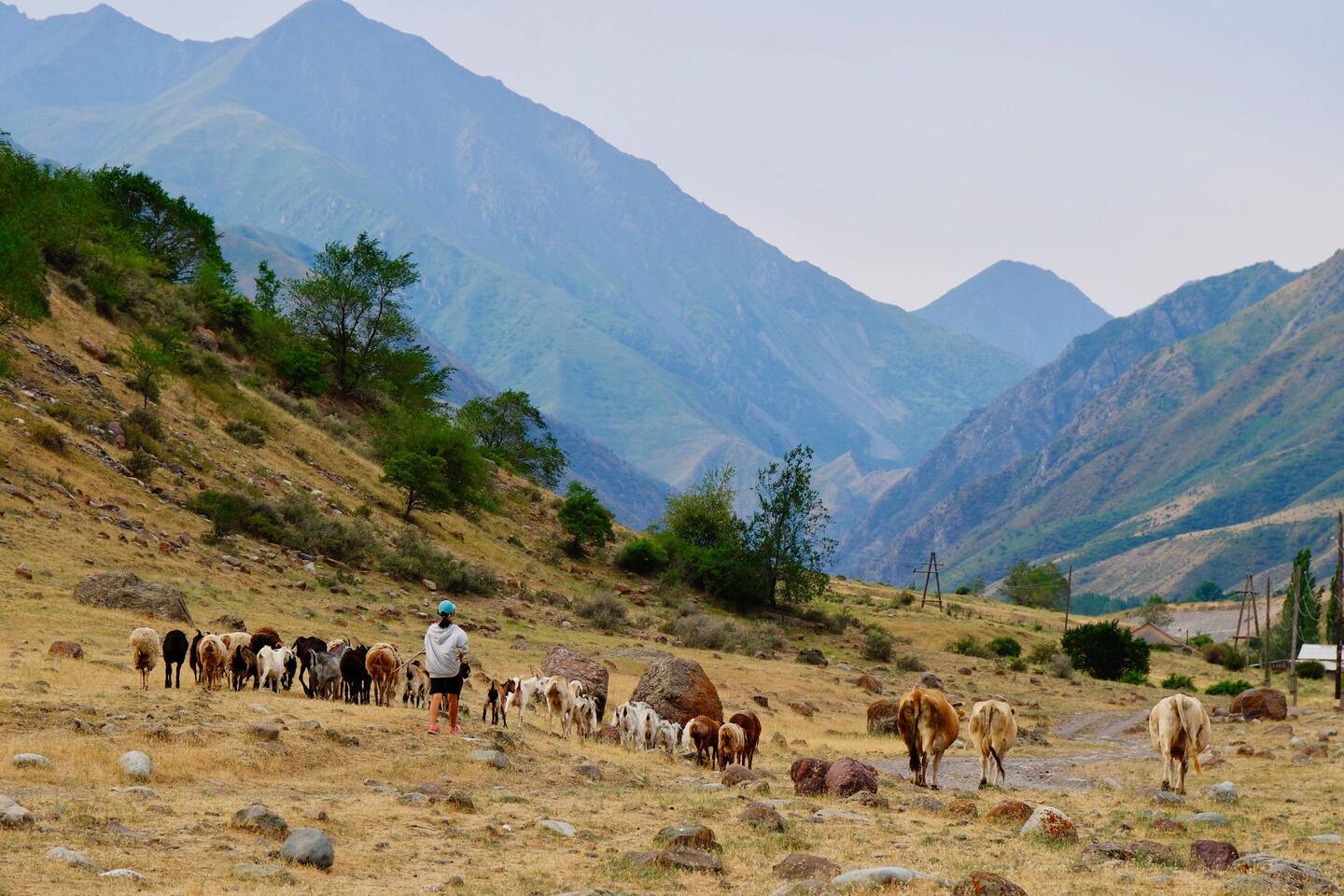 Besuch beim Frühstück