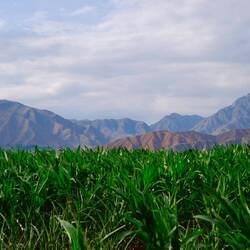 Übernachten mit Aussicht