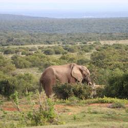Es geht sofort zur Sache...