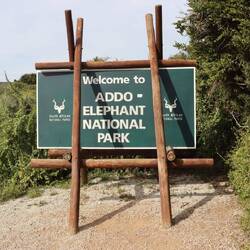 ...bis dann irgendwann der Addo Nationalpark erreicht ist