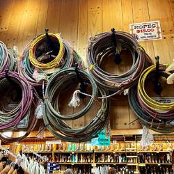 Gebrauchte Lasso's