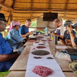 Handeln,handeln, handeln