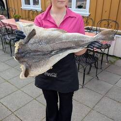 Clipfish, salted cod dried on cliff rocks