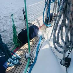 Die Genua, mein wichtigstes Segel mit ca 50qm