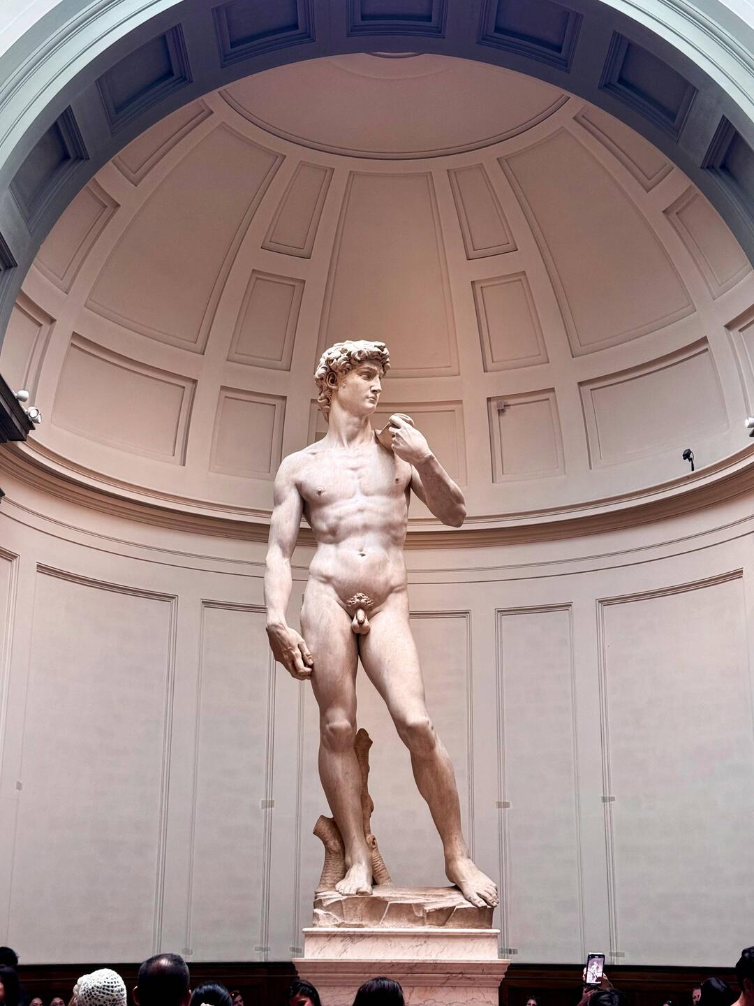 Il David di Michelangelo