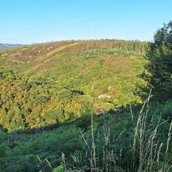 Yes, there were hills again today!