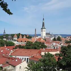 Rundblick vom Domberg ... mit Livemusik 😉