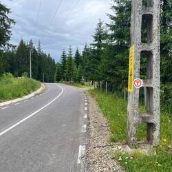 So kann der Weg auch mal aussehen.