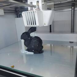 3-D bunny being created