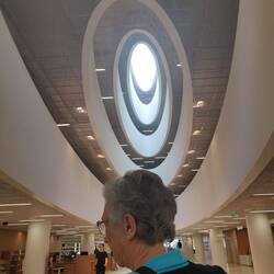 The ceiling (inside) of the Uni Library