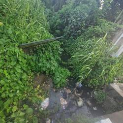 Where you have people you have rubbish 😒