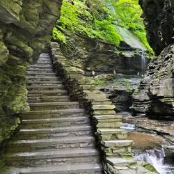 Plenty more just like this