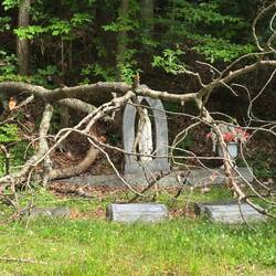 Shorty after I took this pic, groundskeepers cleared the fallen branch