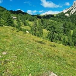 Hoch zur Watschiger Alm mit den Skianlagen.