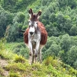 Tja, mein lieber da guckst. Ich fahre wieder in Richtung Heimat.