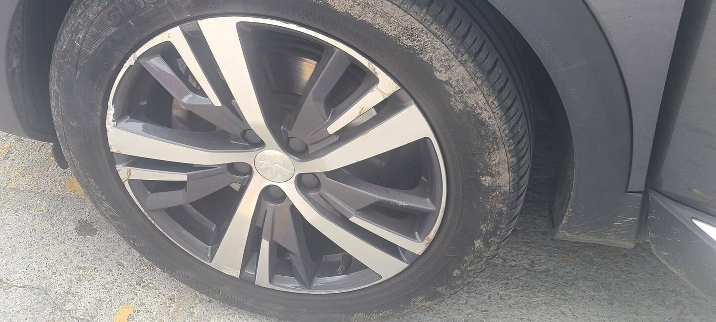 This tire got a but chewed up.