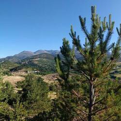 Panorama mit Kurt 🦙