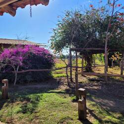 Blick aus dem Speisezimmer